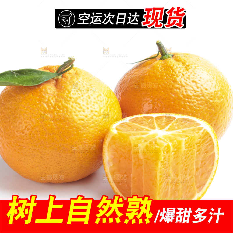 白底上的椪柑橘