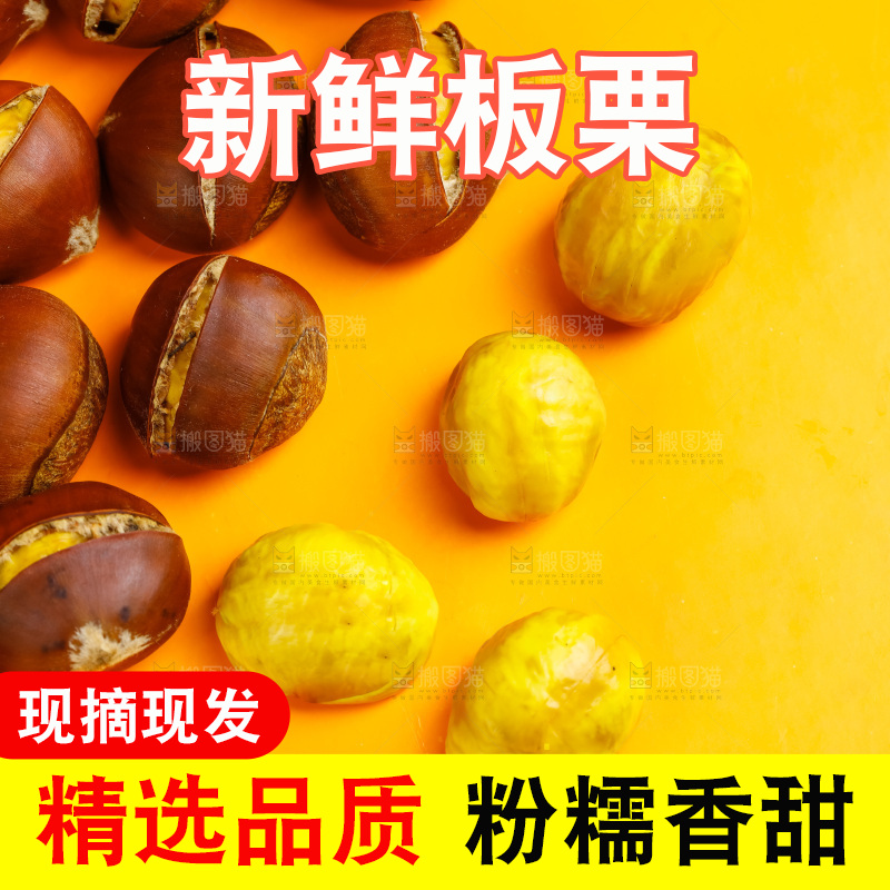 黄底上的迁西板栗