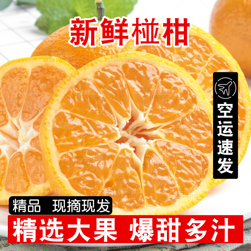 盘子里装着柑橘