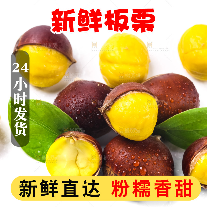白底上的板栗