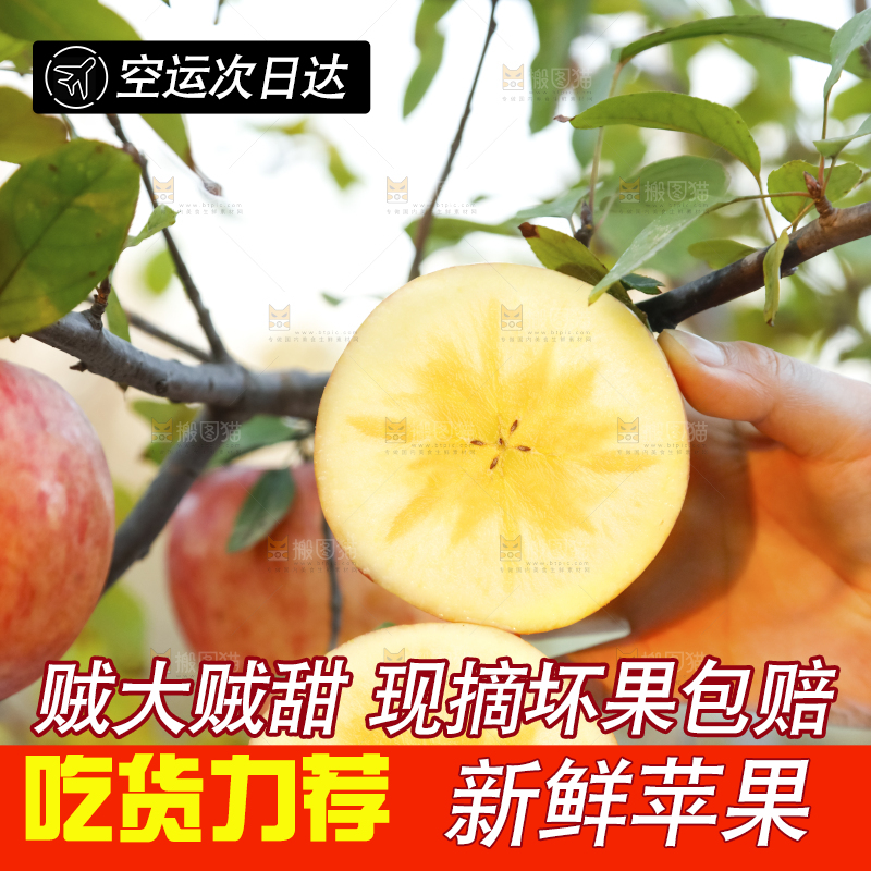 手里拿着新疆冰糖心苹果