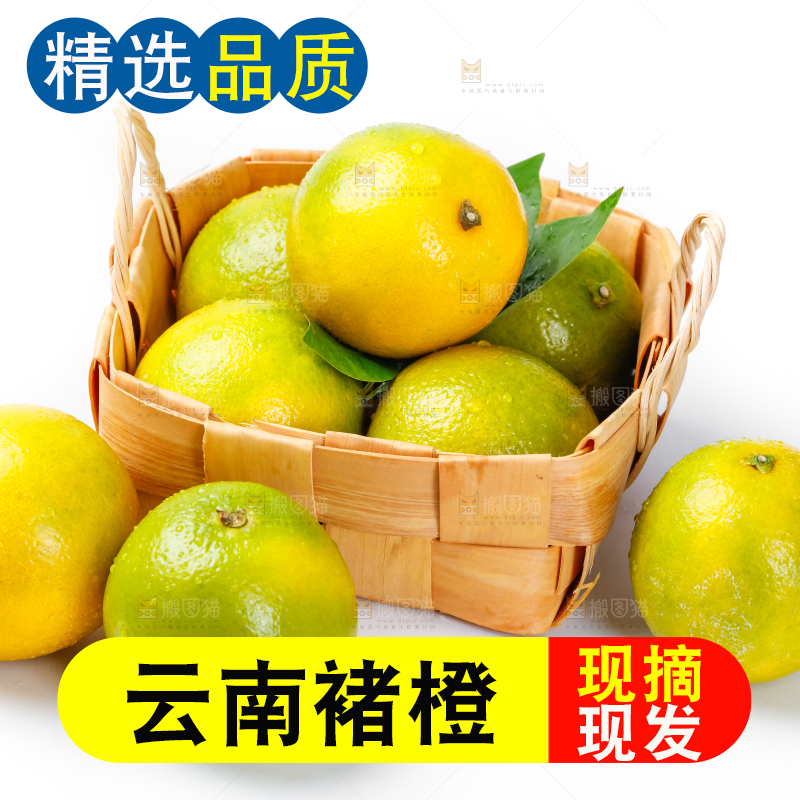 篮子里装着云南褚橙