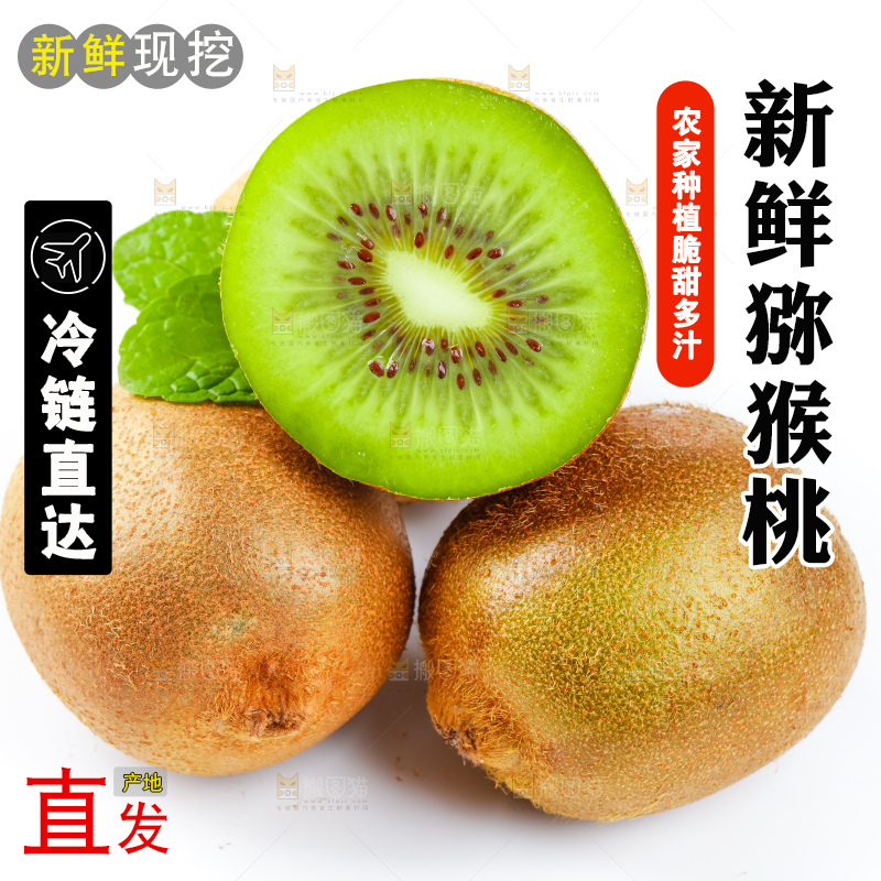白底上的陕西猕猴桃