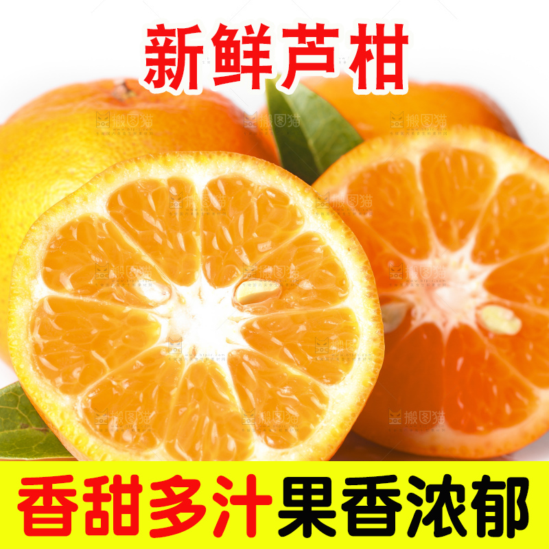 白底上的芦柑