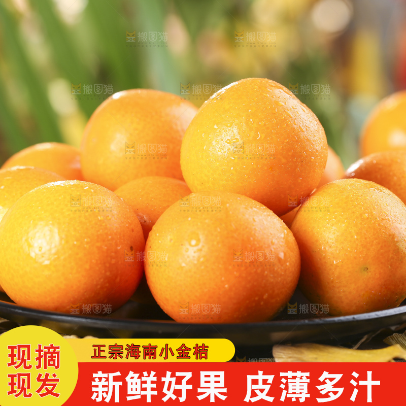 盘子里的融安金桔