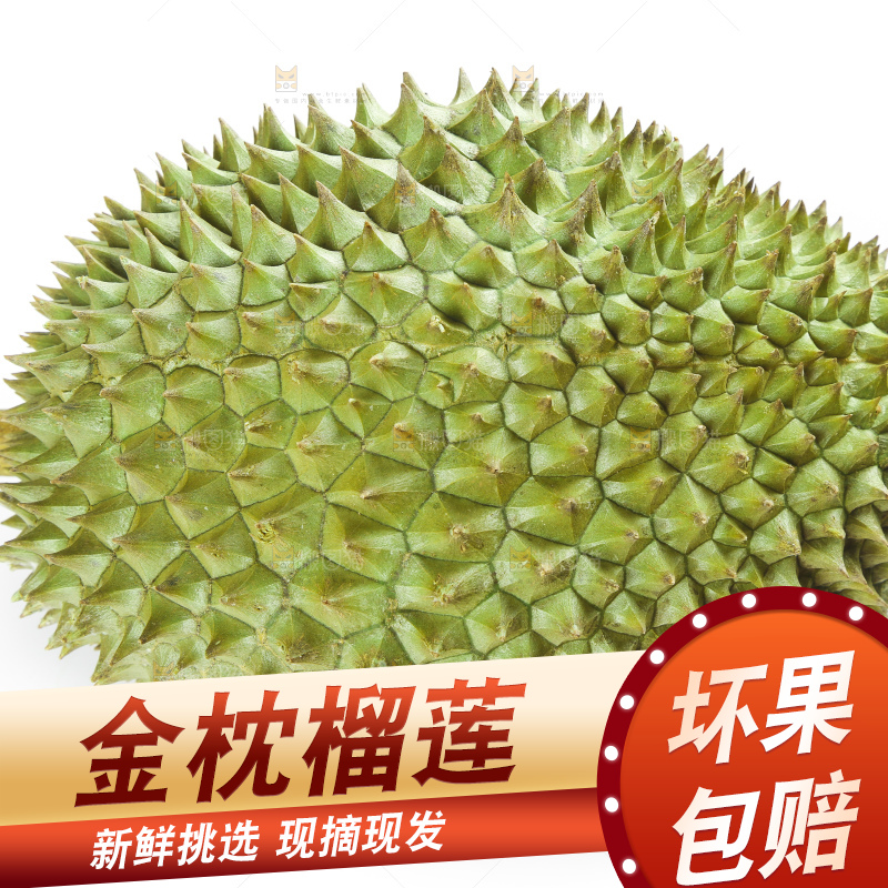 白底上放着泰国金枕榴莲
