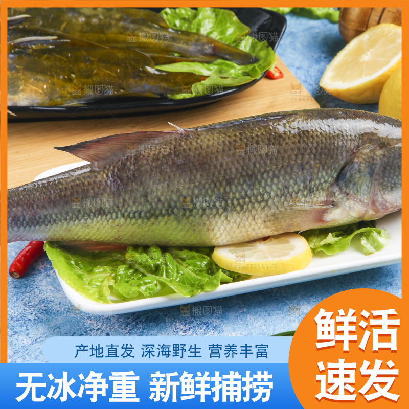 盘子里装着鲈鱼