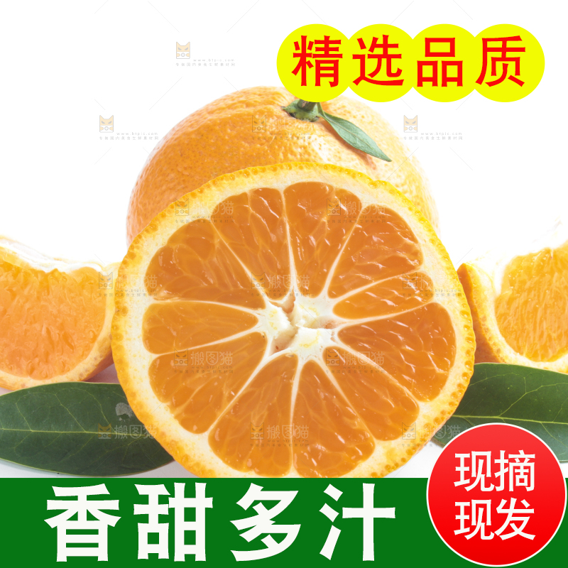 白底上放着柑橘