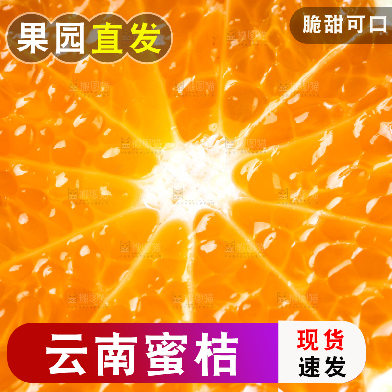 木板上的青皮蜜橘