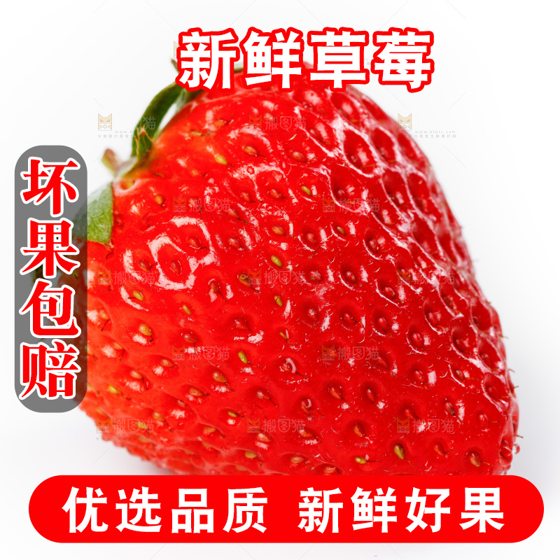 白底上一个大草莓