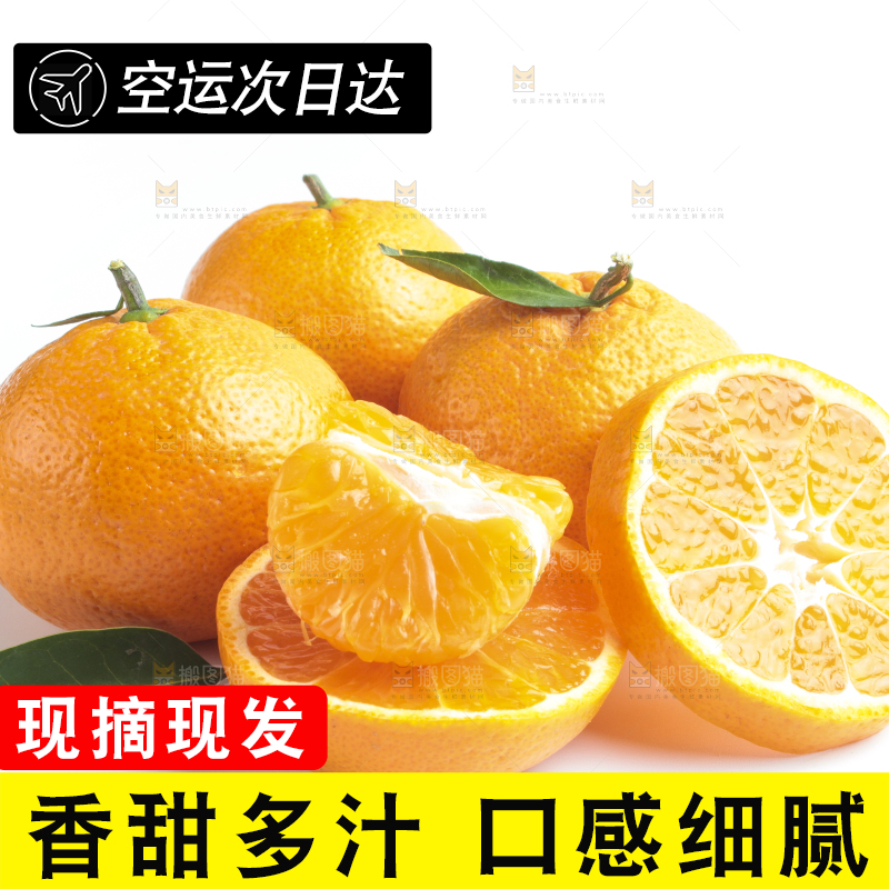 白底上的椪柑
