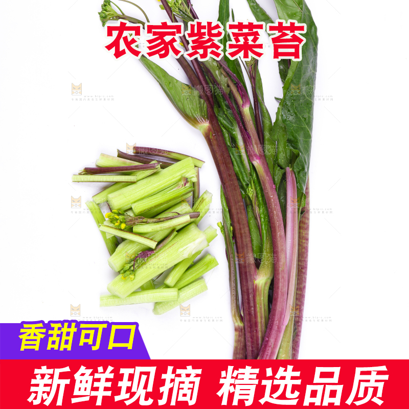白底上放着紫菜苔