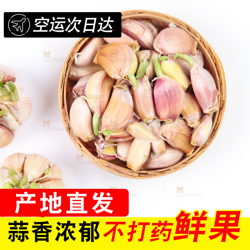 白底上放着紫皮蒜