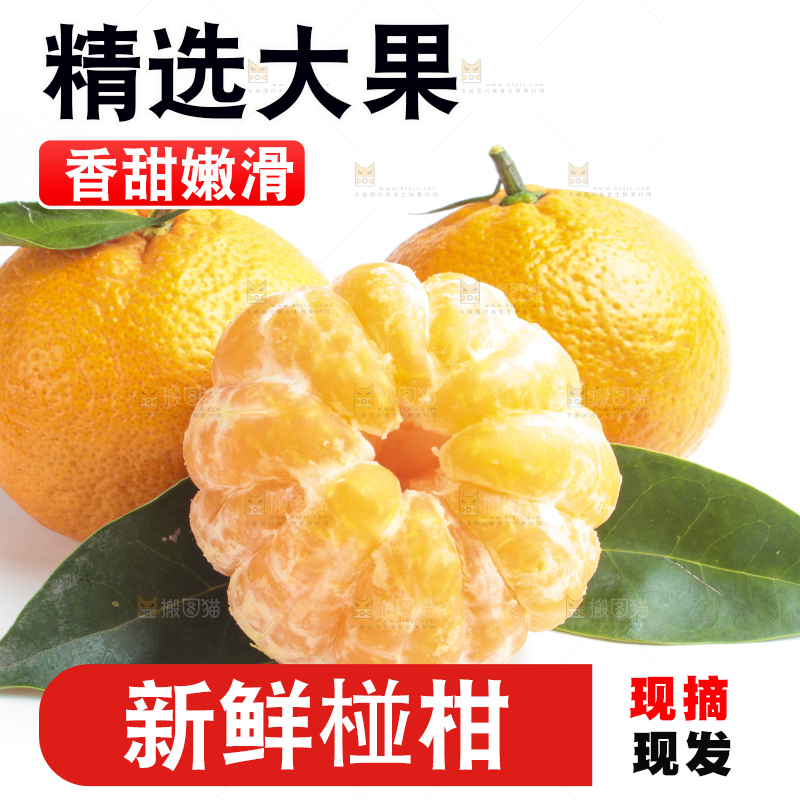 白底上的椪柑橘