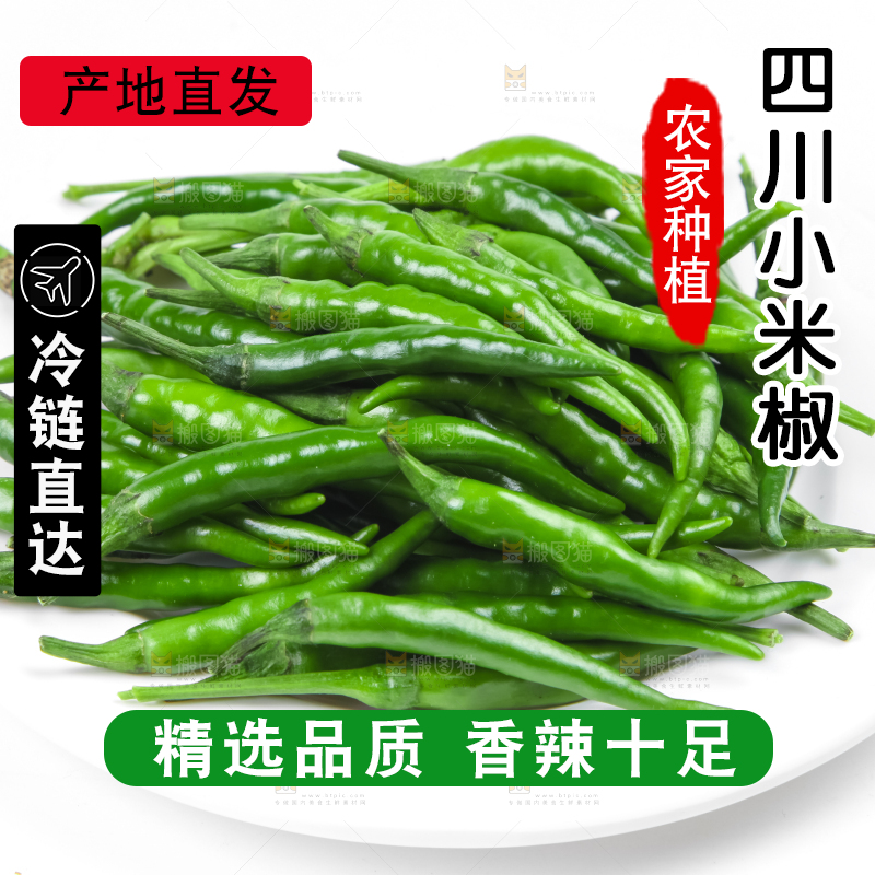 白底上的小米椒