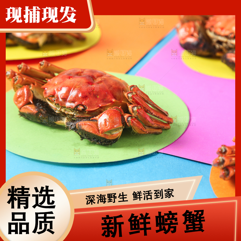 彩底上的螃蟹