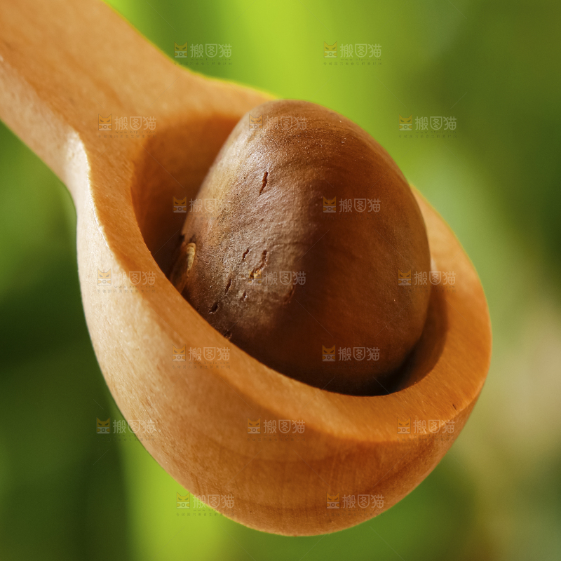 深底上的茶树果