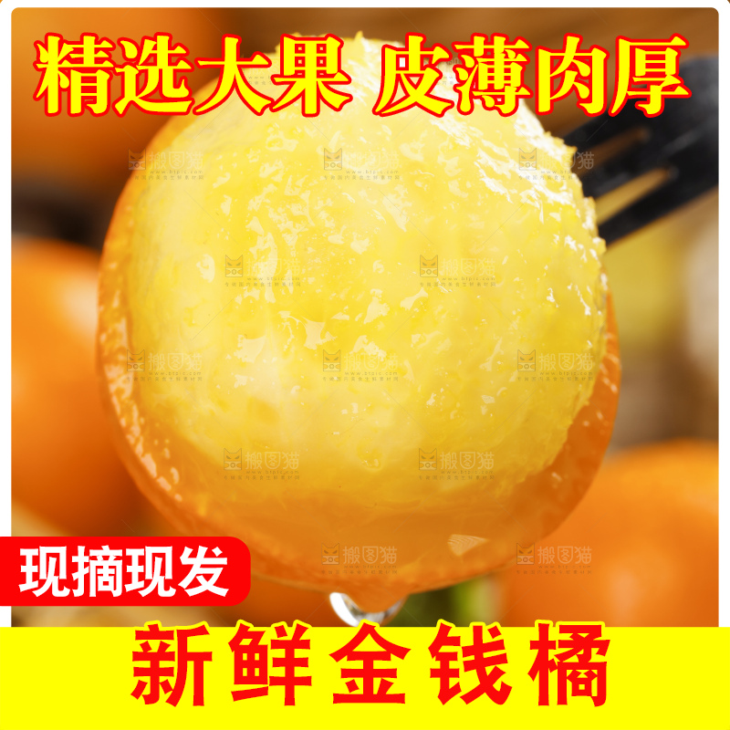 木板上的新鲜金钱桔