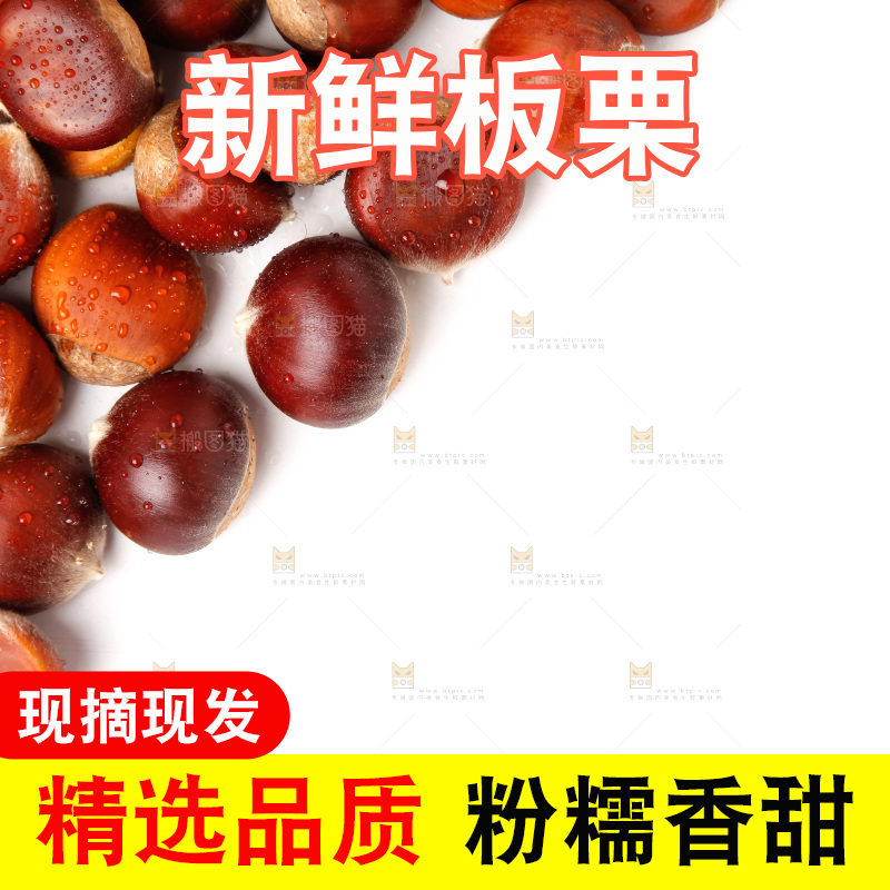 白底上的新鲜栗子
