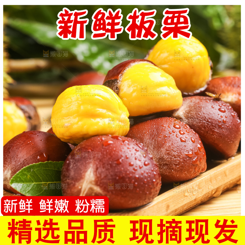 深底上的迁西板栗