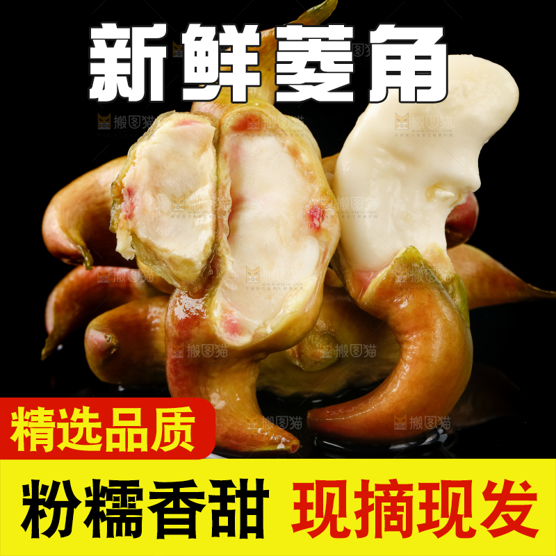 黑底上的菱角