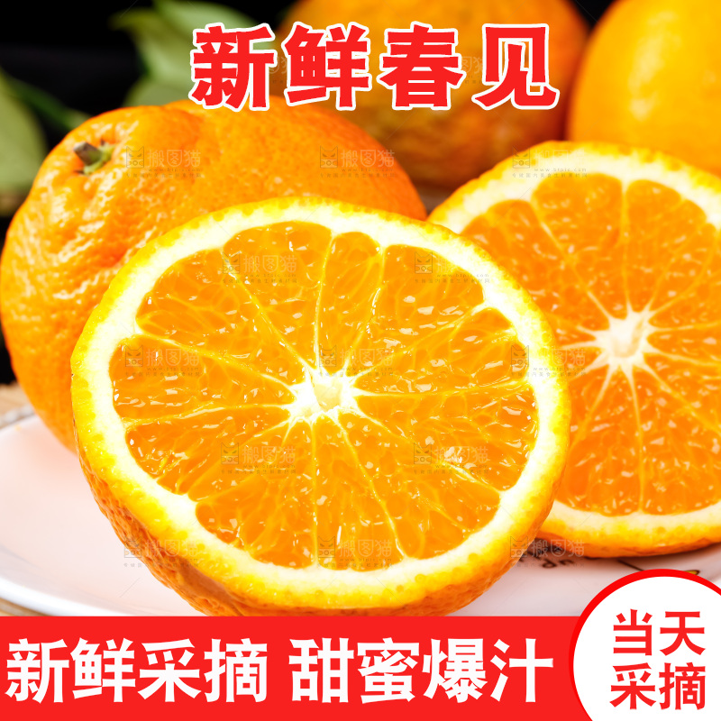 盘子里装着四川春见耙耙柑