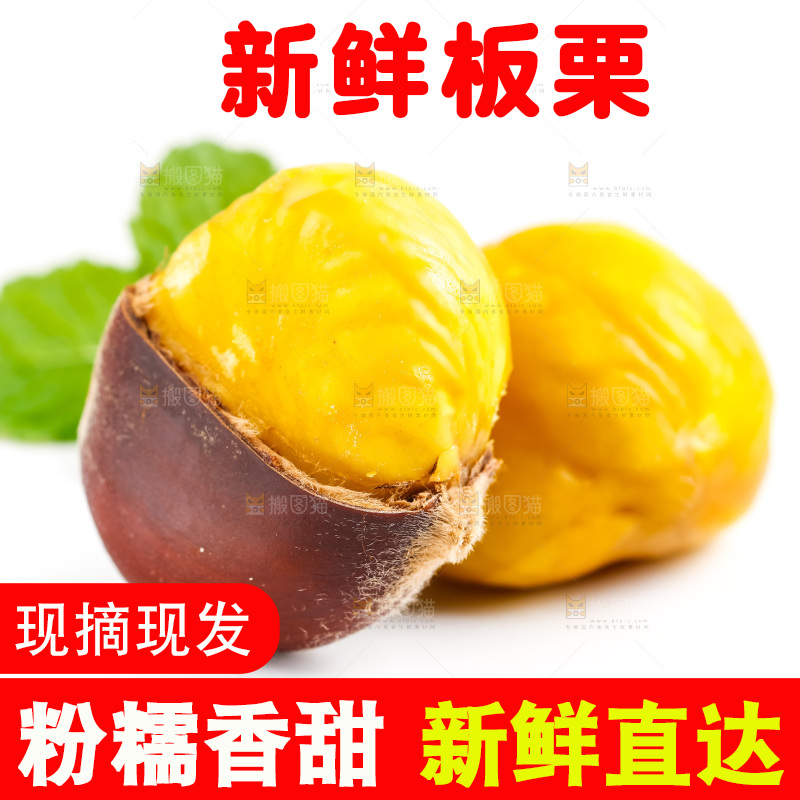 白底上放着毛栗子