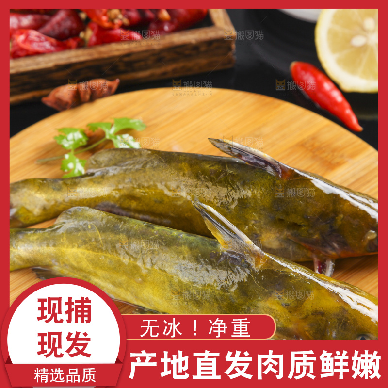 木板上放着黄颡鱼