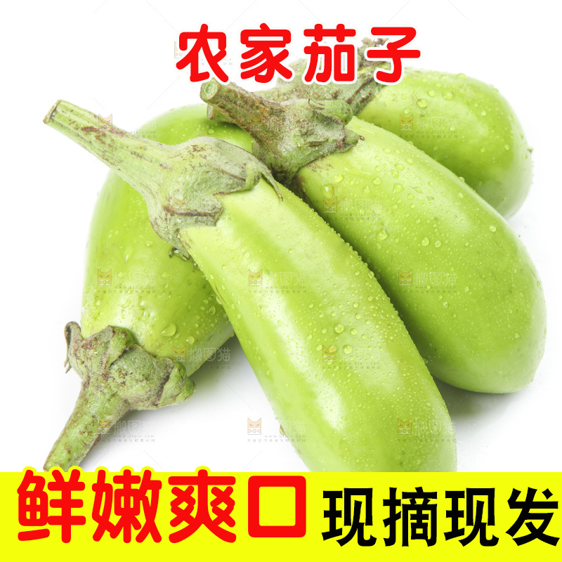 白底上放着青皮茄子