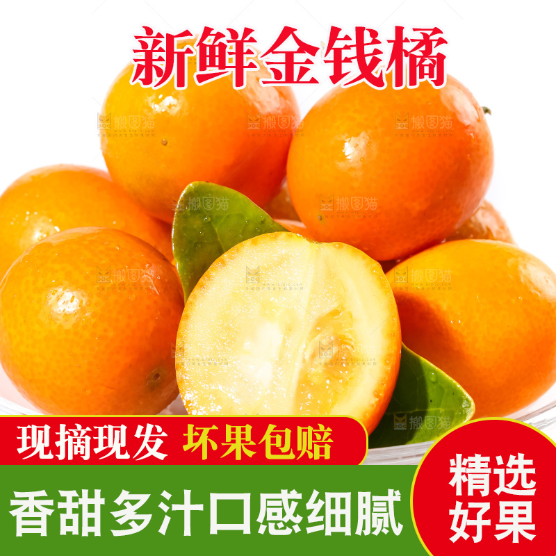 白底上的融安金桔