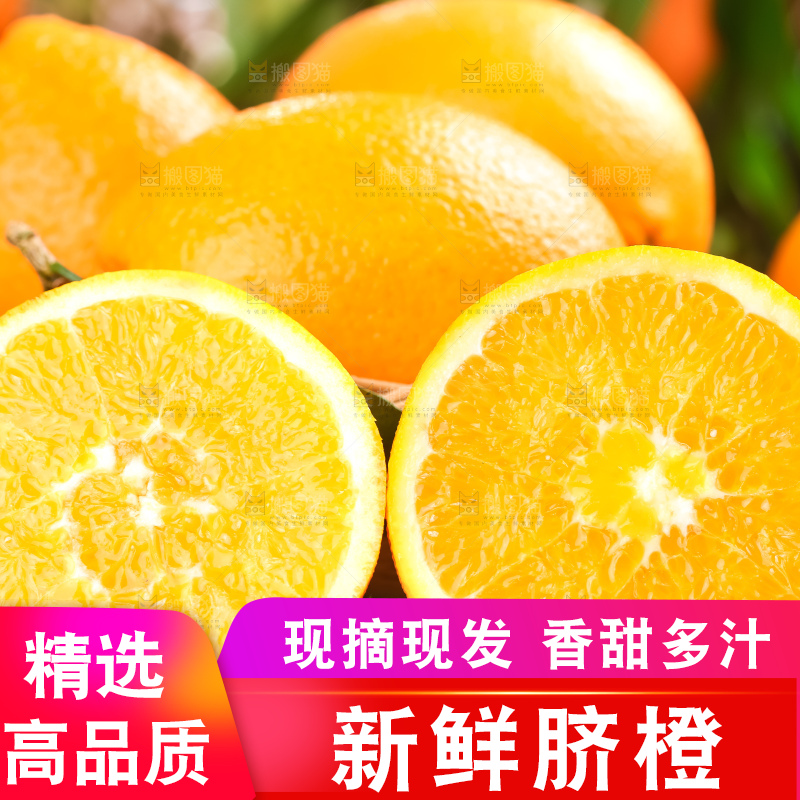 篮子里装着长虹脐橙