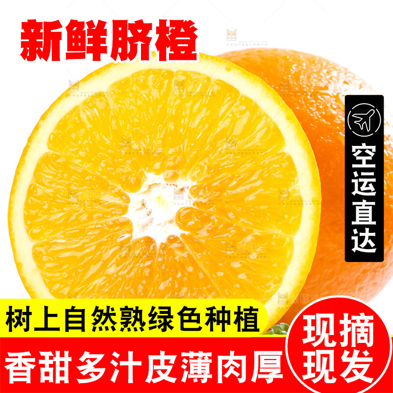 白底上的高山甜橙