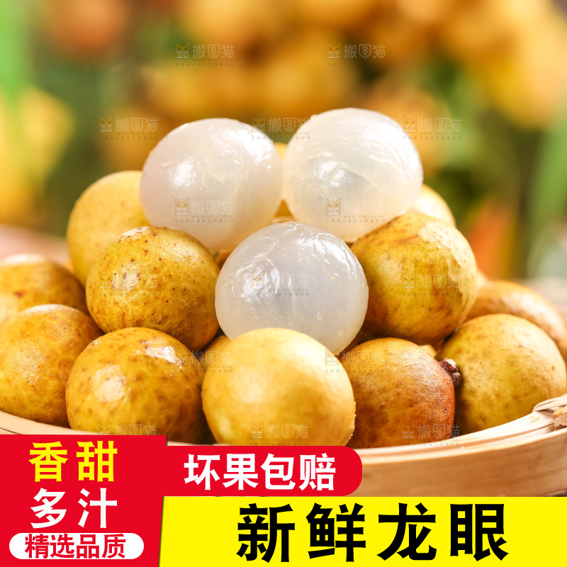 木底上的广东龙眼