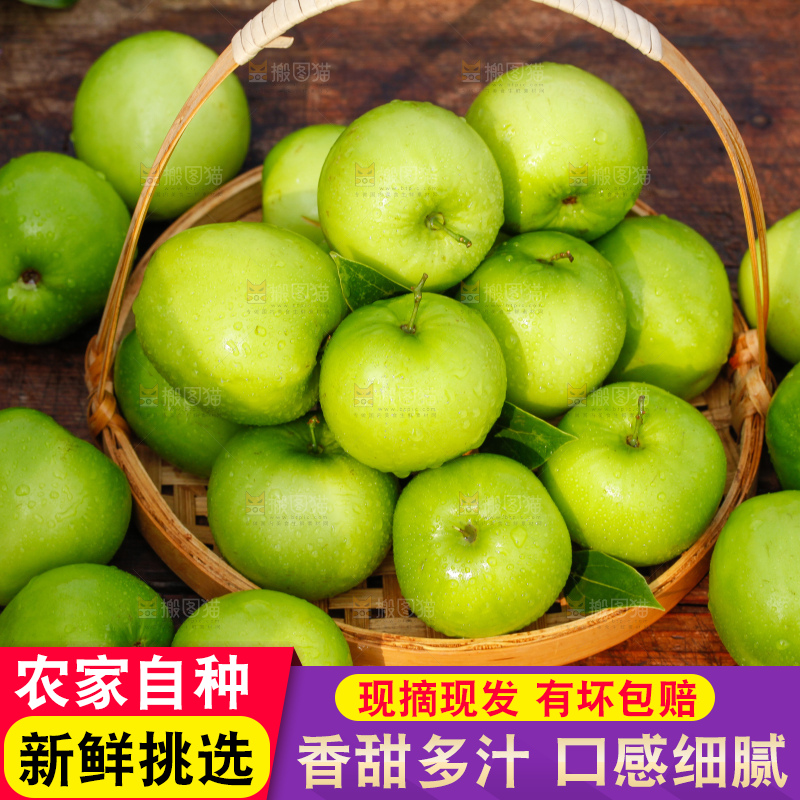 木底上放着一篮新鲜牛奶青枣