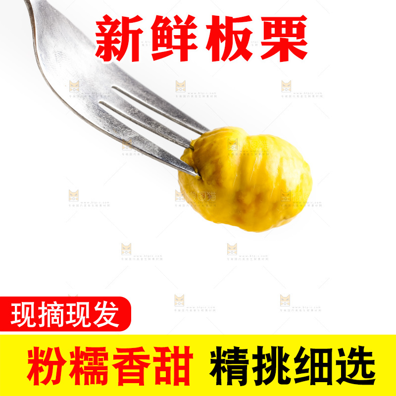 白底上的生板栗