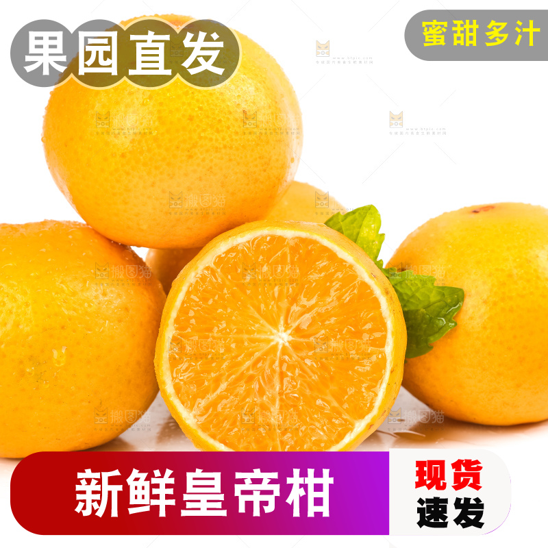 白底上放着一堆新鲜皇帝柑