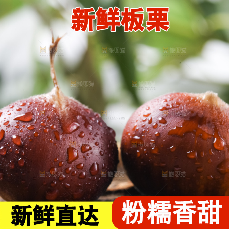 木底上的毛栗子