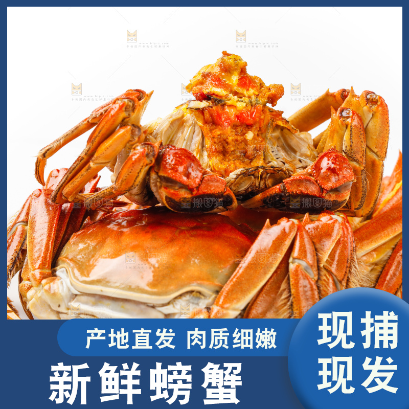 盘子里装着螃蟹