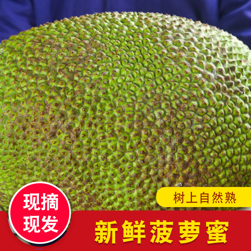 浅底上的泰国红心菠萝蜜