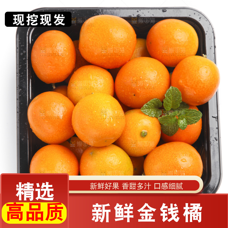 盒子里装着小金桔