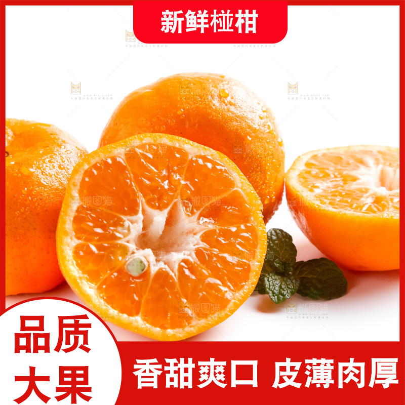 白底上摆放着椪柑橘