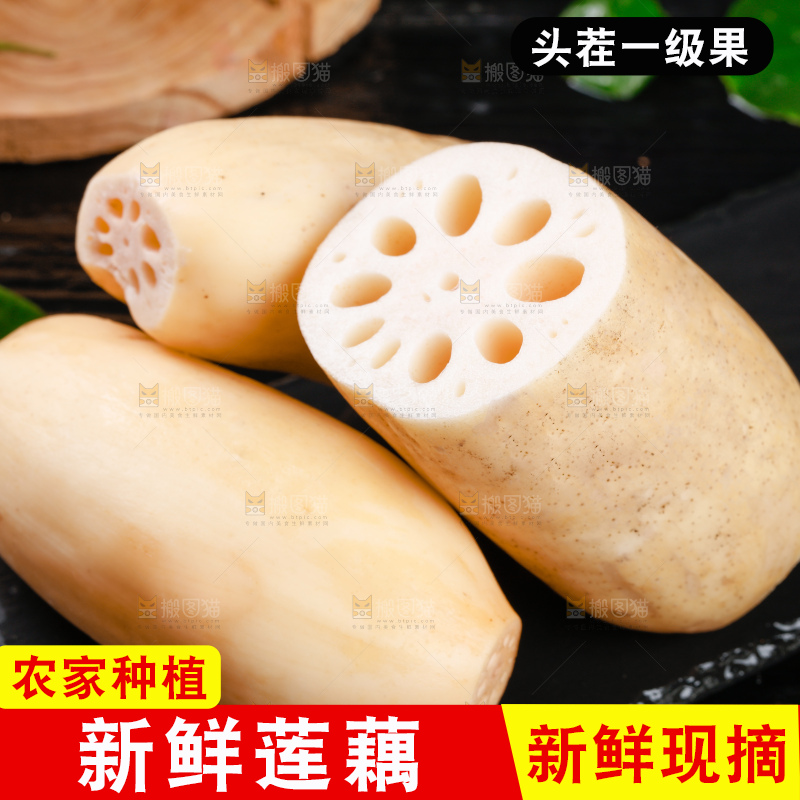 黑底上的莲藕