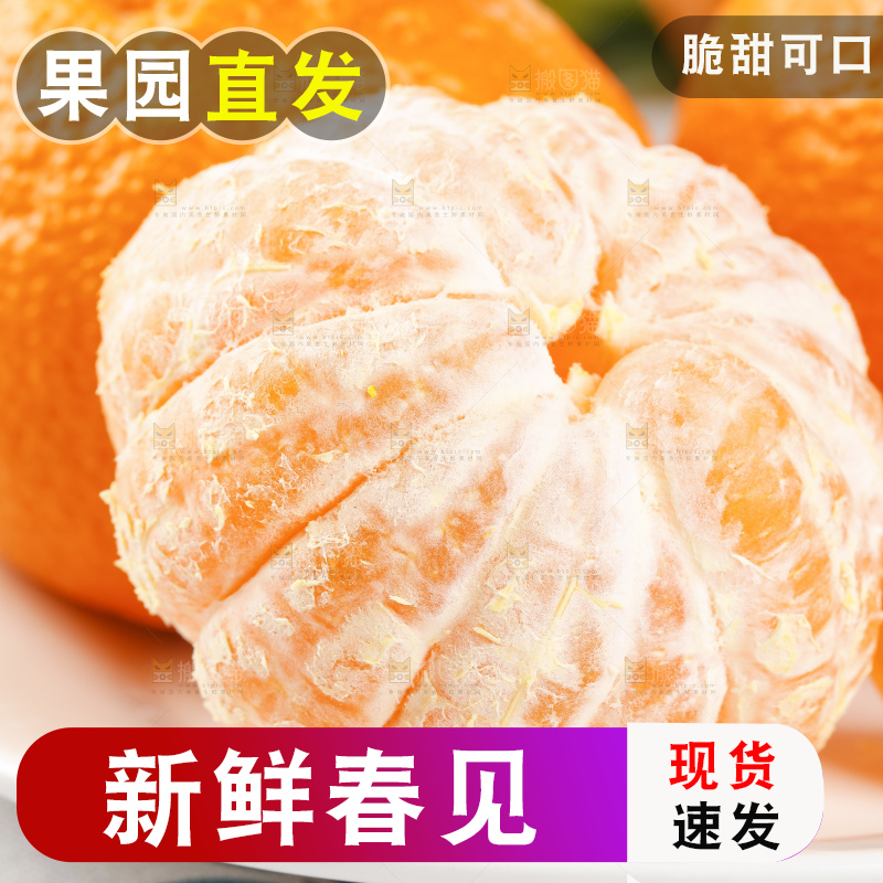 盘子里装着春见柑桔