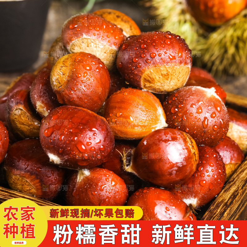 盘子里放着迁西板栗