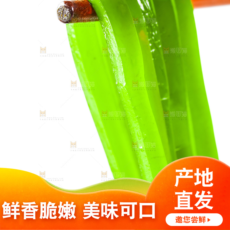 筷子上夹着盐渍海带丝
