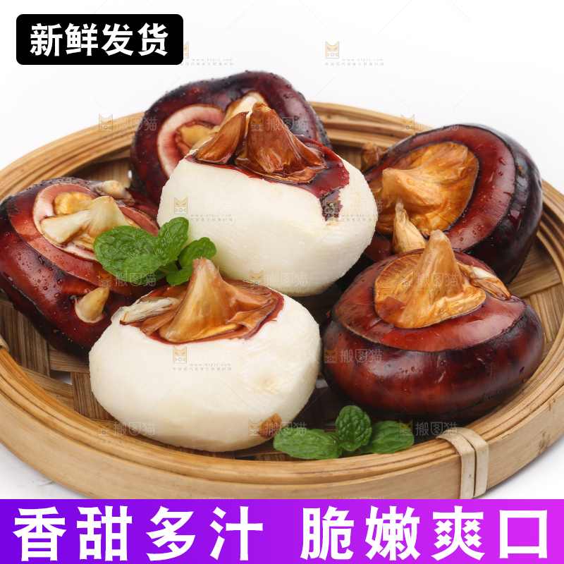 篮子里装着北乡马蹄