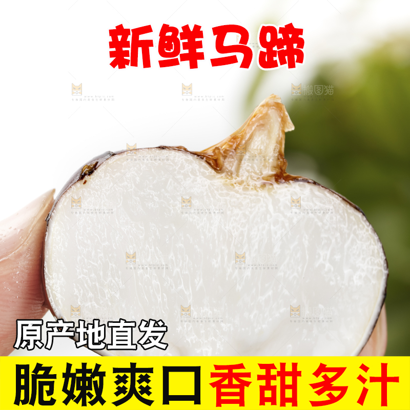 手里拿着菩荠