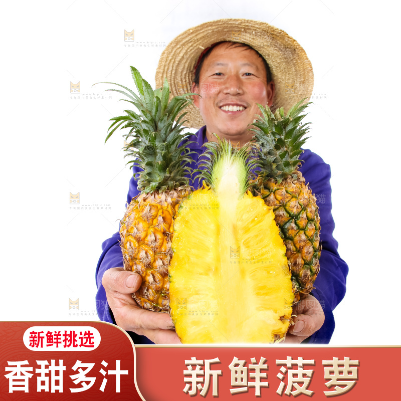 农民手里拿着香水菠萝