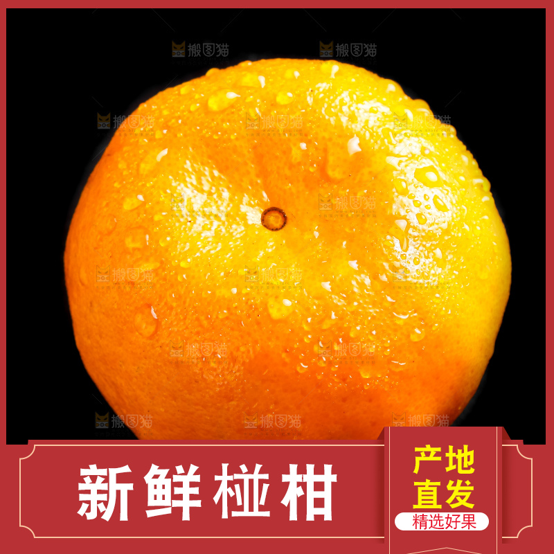 黑底上的椪柑