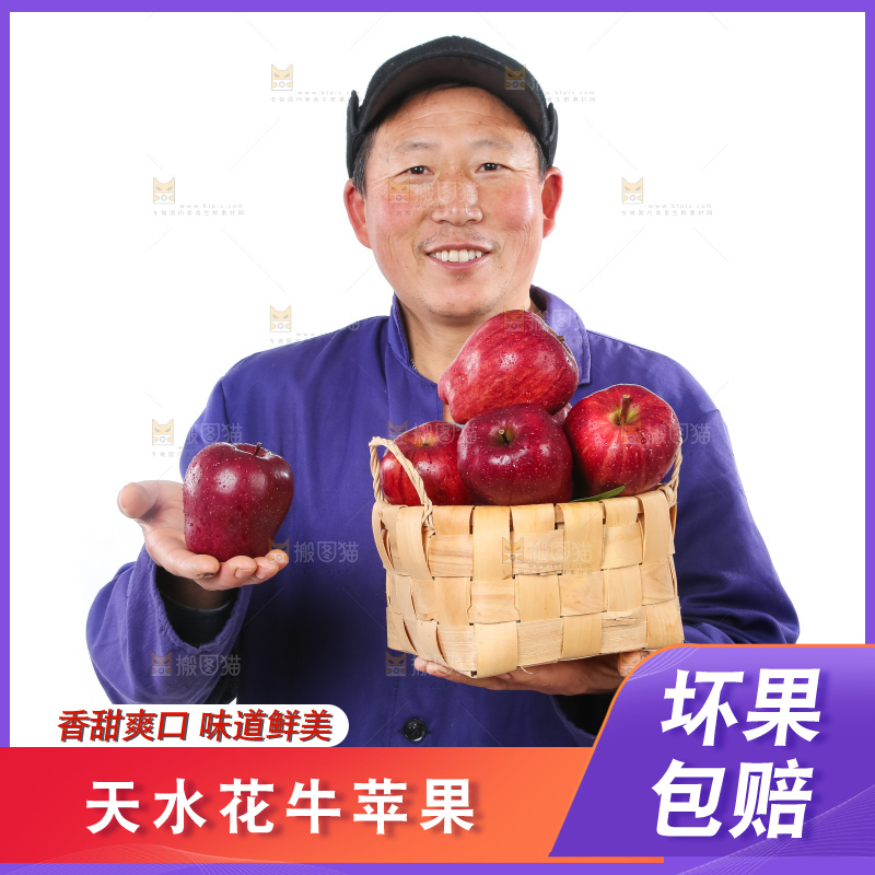 农民手里拿着天水花牛苹果